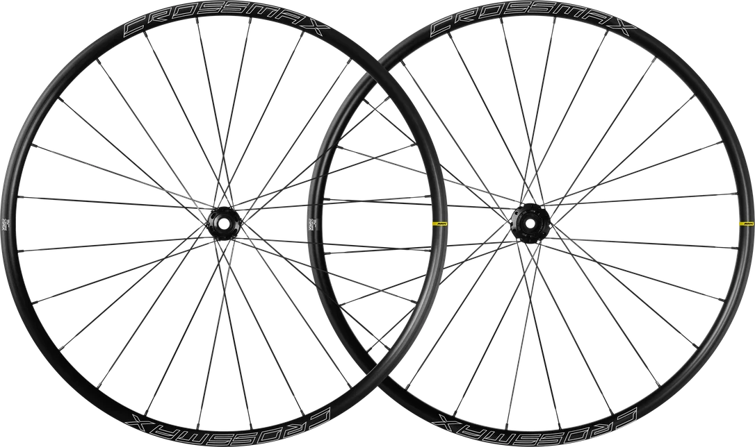 bikester917979