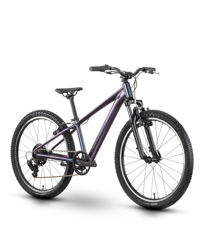 bikester964701
