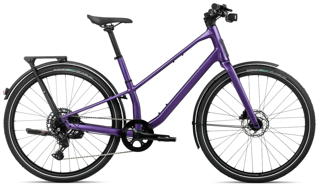 bikester989048