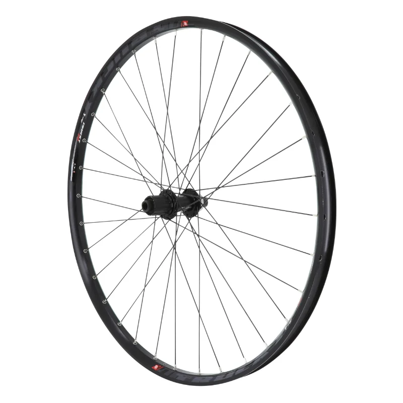 culturevelo202610200059541383267