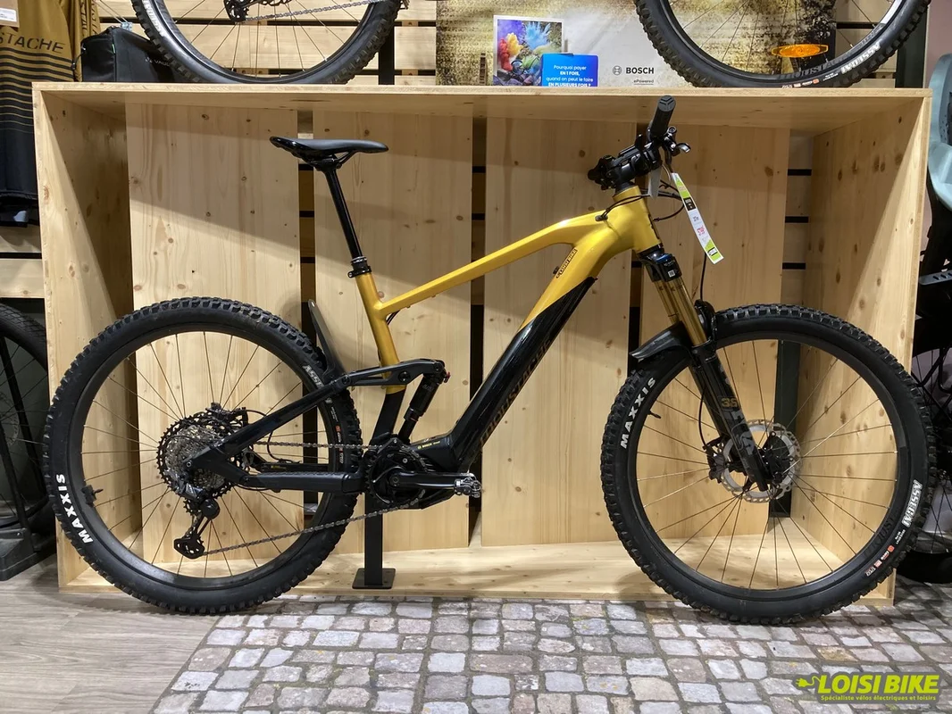 loisibike202610181336531033181