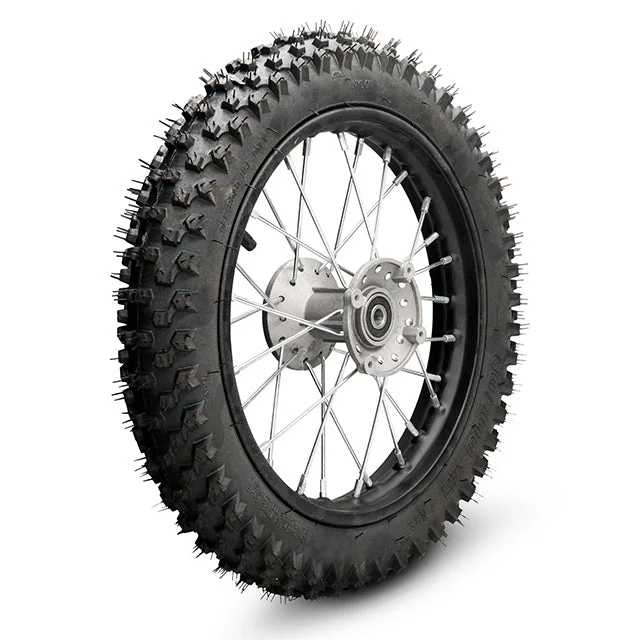 motoscoot1002480