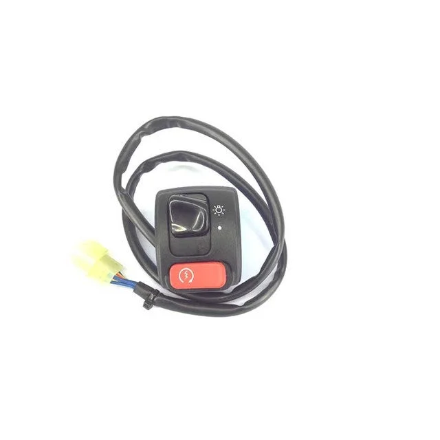 motoscoot1007873