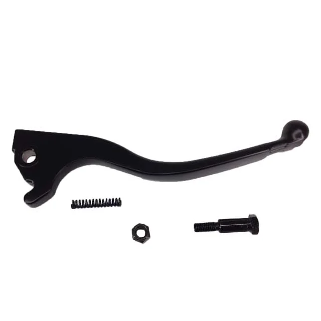 motoscoot1010068