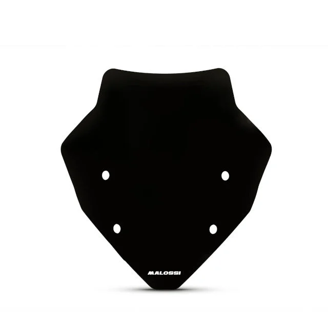motoscoot1105086