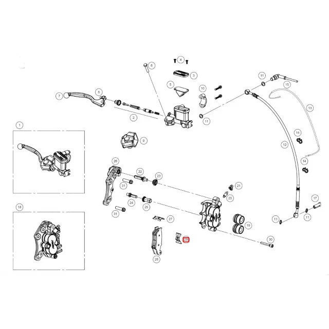 motoscoot1118554