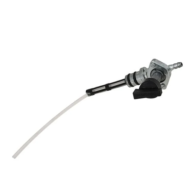 motoscoot813281