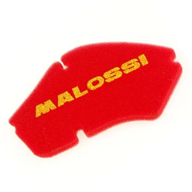motoscoot817088