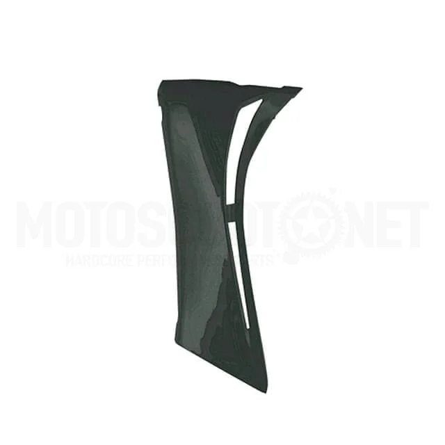 motoscoot912044