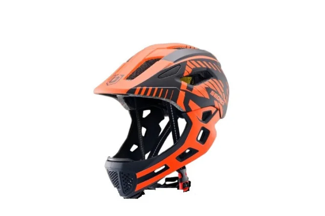 pitrider202610181315241028464