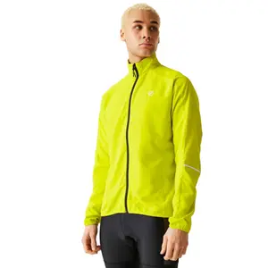 velo-store-1202610190532581192536