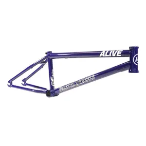 velo-store-1202610191338521275369