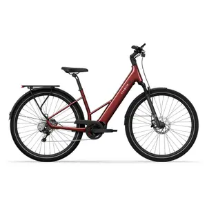 velo-store-1202610191702481306867
