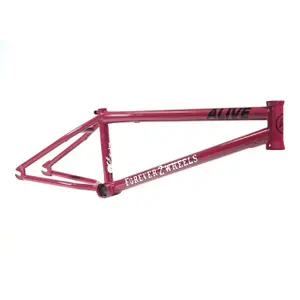 velo-store-1202610191810081318104