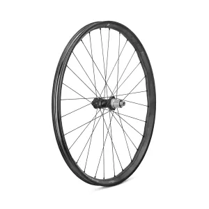 velo-store-1202610200039341379931