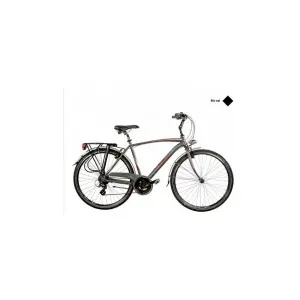 velo-store-12026102018472934299
