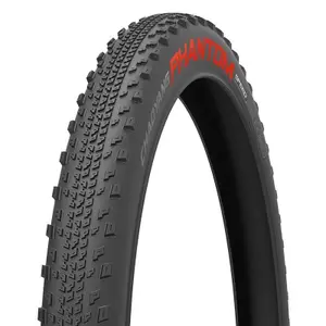 velo-store-120261021125036163319