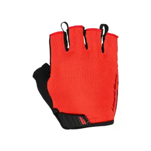 velo-store-120261022124019337639
