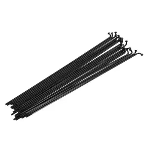 velo-store-120261023014949483445