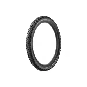 velo-store-2202610200028451378301