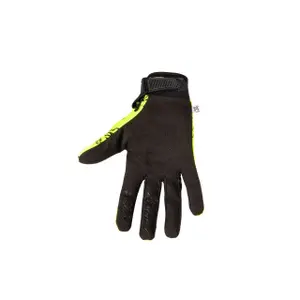 velo-store-2202610200351271418352