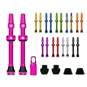 velo-store-220261021075519137069